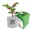 토마토 그린가든
