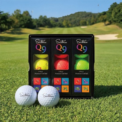 세인트나인 Q9 9구 3피스 골프공
