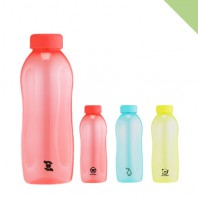 핏라인보틀베이직