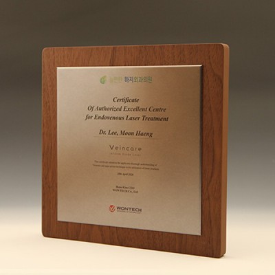 공로패 위촉 퇴임감사패 원목 상패 표창패 E5199