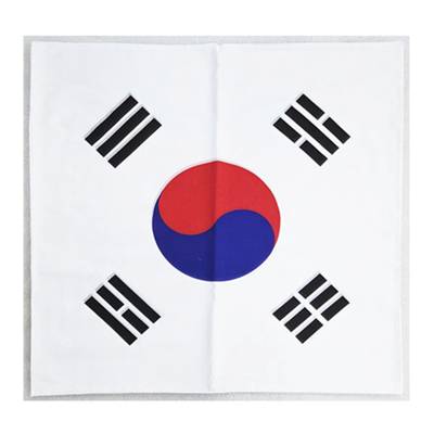 큰태극기손수건 / 스포츠 응원기