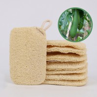 모모카멜 친환경 식물 수세미 (HR07)