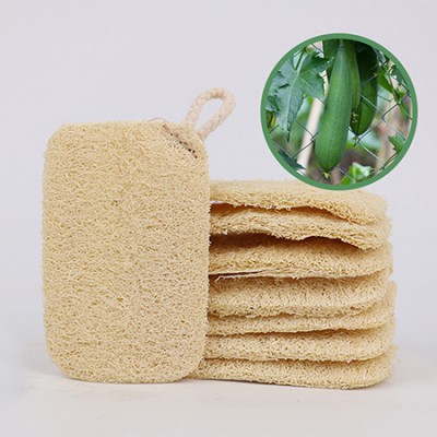 모모카멜 친환경 식물 수세미 (HR07)