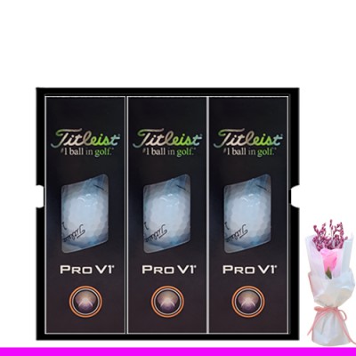 타이틀리스트 pro v1 9구 (3pc)