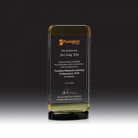 7169 크리스탈 상패 (100*225*60mm)