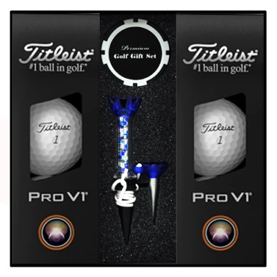 타이틀리스트 PRO V1 6구 볼마커칩 자석티세트
