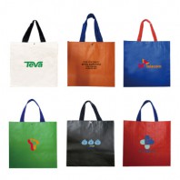 [42x40x25] 타포린가방 대형