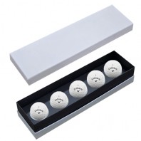 캘러웨이 워버드 5구 고급 싸바리케이스 CW5