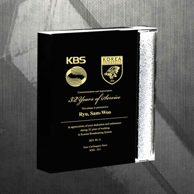 위촉 공로 임명 상패 DS12-28