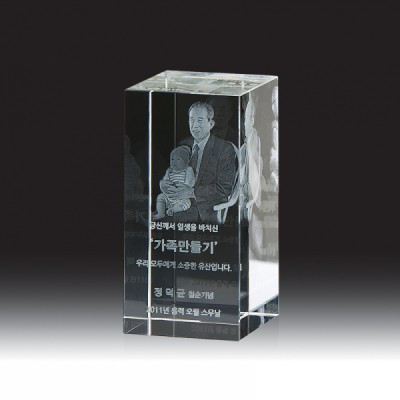 3776 3D레이저 문진 (60*120*60mm)