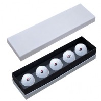 브리지스톤 투어 B XS 5구 고급 싸바리케이스 BTX5