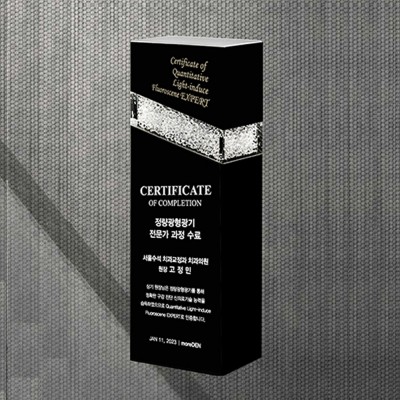 퇴직 위촉 공로 상패 DS12-29-2