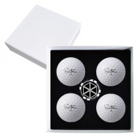 세인트나인 N PRO 4구 볼마커칩 고급 싸바리케이스