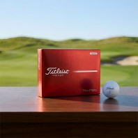 타이틀리스트 트루필 12구 (2pc) 타이틀리스트골프공 12구 trufeel 12구