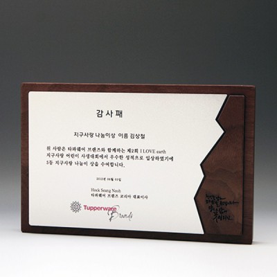 감사 위촉 공로 고급패 E5161