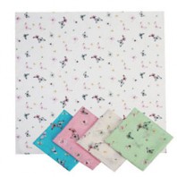 나비 (가제스카프)