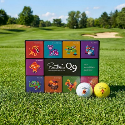 세인트나인 Q9 12구 3피스 골프공 세
