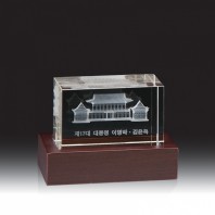 3779 3D레이저 문진 (100*70*70mm)