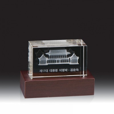 3779 3D레이저 문진 (100*70*70mm)