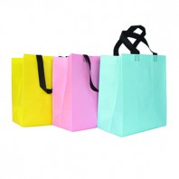 코팅 부직포가방 (소)