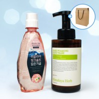 LG생활건강 핑크솔트 가글 핸드워시 2종세트