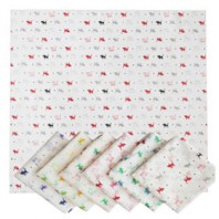 네발고양이3도 (가제스카프)