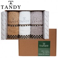 탠디 프리미엄패키지 클레식체크 세면타올 3매세트