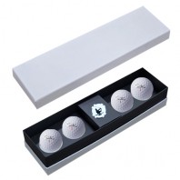 세인트나인 N PRO X 4구 볼마커칩 고급 싸바리케이스 SNX4BC1