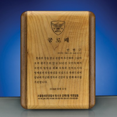 임명 퇴직기념 위촉 공로 감사패 SW-005-01