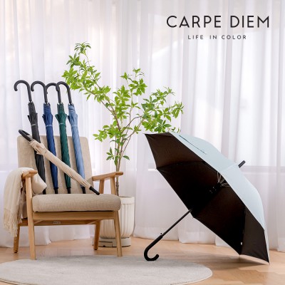 카르페디엠 65 암막 곡자 장우산 (C079)