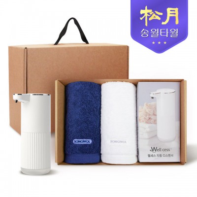 송월타올 디스펜서 기프트세트 05, 포인트 타올 200gx2P + 웰세스 디스펜서 360ml 1P