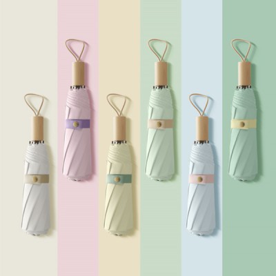 듀홈 삼색삼단수동암막양우산