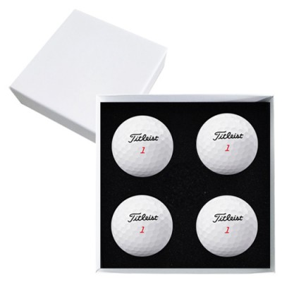 타이틀리스트 트루필 4구 고급 싸바리케이스