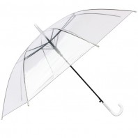 투명우산