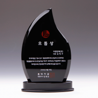 상패 우수상 퇴직 재직기념패 E1135