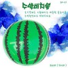 수박비치볼