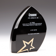 공로 위촉 대회 상패 E1051