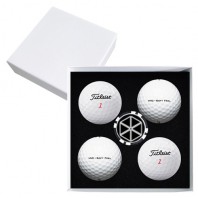 타이틀리스트 트루필 4구 볼마커칩 고급 싸바리케이스