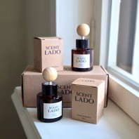 센트라도 미니 차량용 디퓨저 50ml 2P 세트