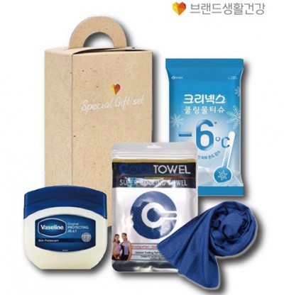 쿨아이스세트 브생건145호(바세린젤리+아이스 쿨타올+크리넥스 쿨링물티슈)