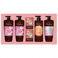 샴푸&바디 프리미엄 퍼퓸컬렉션 엘지생활건강 명절선물세트 쇼핑백포함