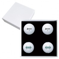 스릭슨 트라이스타 4구 고급 싸바리케이스