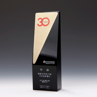 우승 트로피 우수사원 상패 E1040