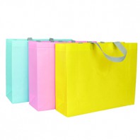 코팅 부직포가방 (대)