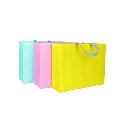 코팅 부직포가방 (대)