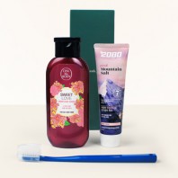 LG 온더바디 바디워시 2080 핑크솔트치약 미세모칫솔 3종