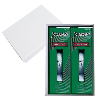 스릭슨 트라이스타 6구 고급 싸바리케이스