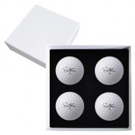 세인트나인 N PRO 4구 고급 싸바리케이스