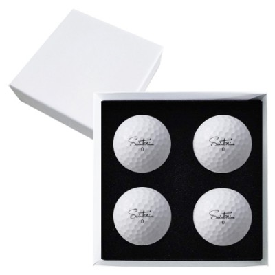 세인트나인 N PRO 4구 고급 싸바리케이스