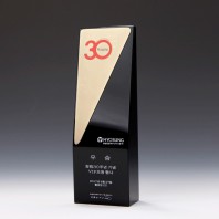 TS-1040 크리스탈 상패